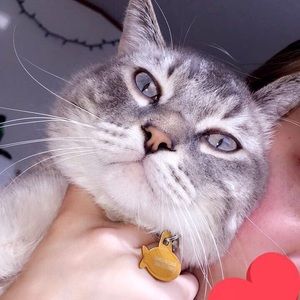 Meet your Posher, Jordan